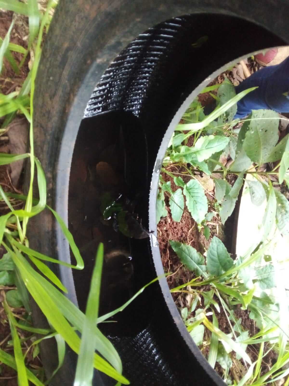 AGENTES DE SAÚDE ESTÃO ORIENTANDO OS MUNICÍPES SOBRE A DENGUE