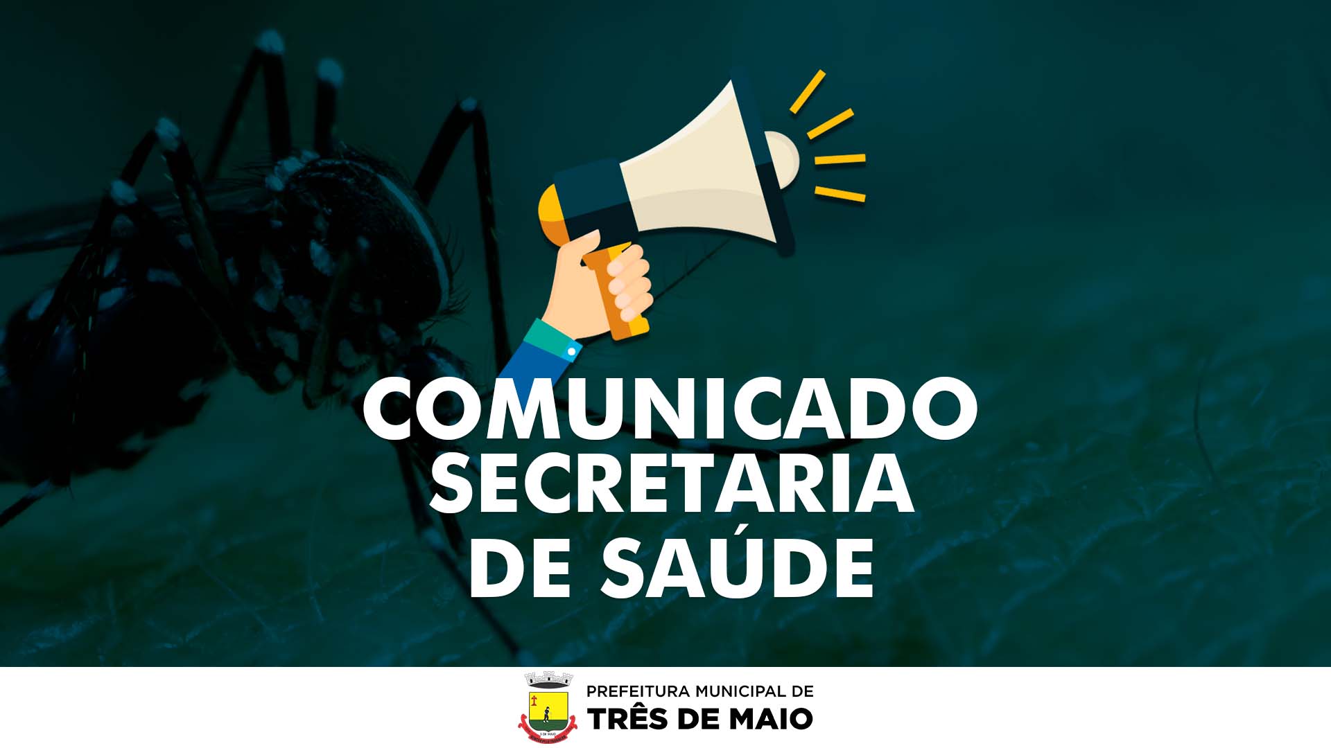 COMUNICADO DA SECRETÁRIA DE SAÚDE