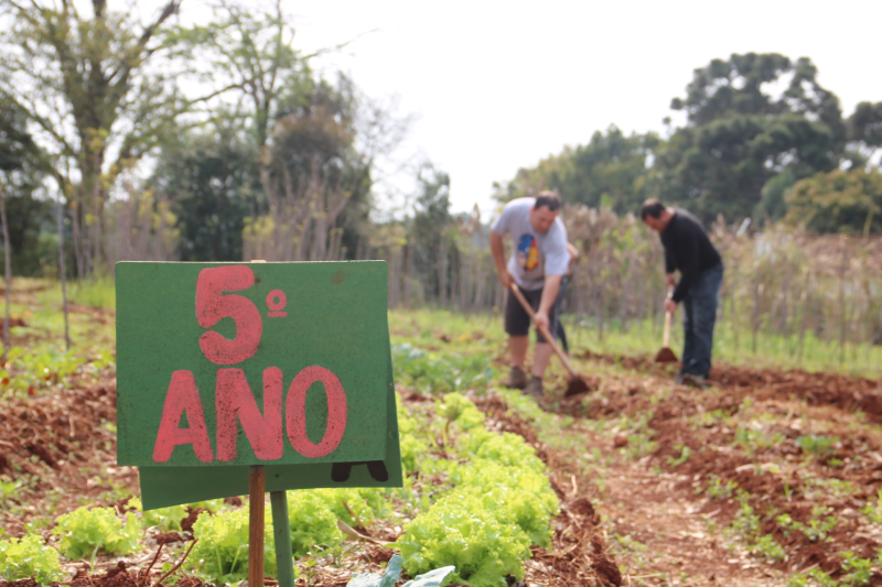 Escola Francisco Sales Guimarães implanta Horta Comunitária