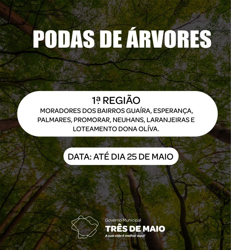 Aberto período de podas de árvores no município