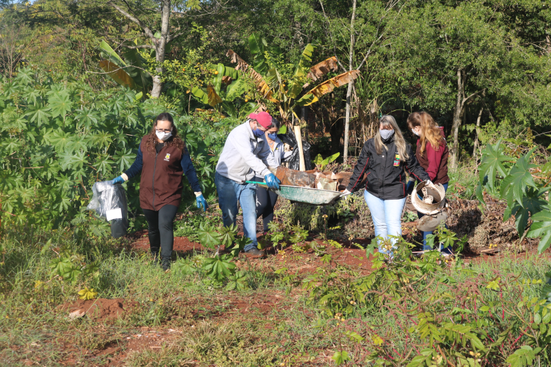 Dengue: agentes de endemias seguem empenhados no combate ao mosquito