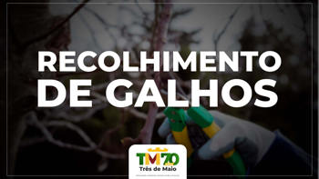 <p><strong>RECOLHIMENTO DE GALHOS SER&Aacute; REALIZADO SOMENTE NO PER&Iacute;ODO DE PODAS</strong></p>