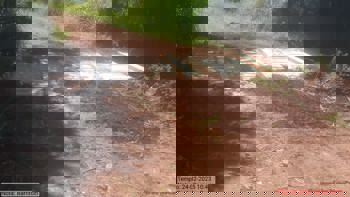 <p><strong>TR&Acirc;NSITO LIBERADO NA PONTE DE BARRINHA CECIM</strong></p>