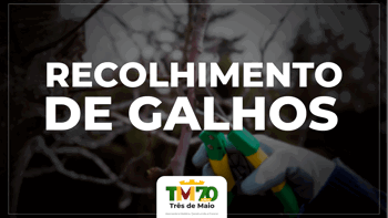 <p>CRONOGRAMA DE RECOLHIMENTO DE GALHOS INICIA EM MAIO</p>