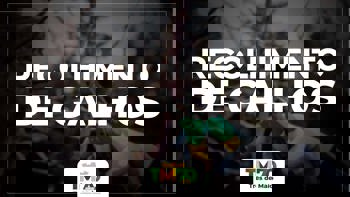 <p>RECOLHIMENTO DE GALHOS E PODAS COME&Ccedil;A EM MAIO</p>