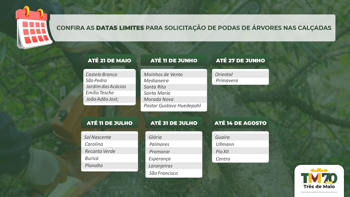 <p><strong>CONFIRA AS DATAS LIMITES PARA SOLICITA&Ccedil;&Atilde;O DE PODAS DE &Aacute;RVORES NAS CAL&Ccedil;ADAS</strong></p>