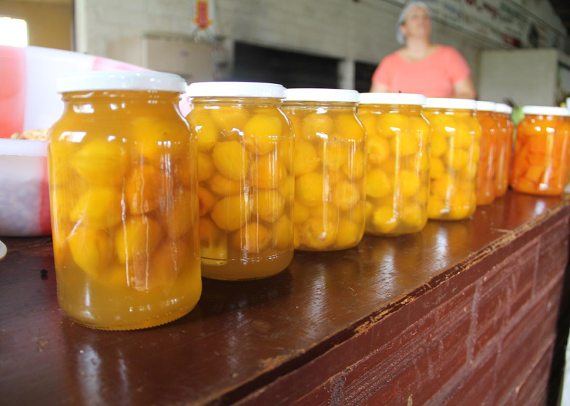 SECRETARIA DA MULHER OFERECE CURSOS