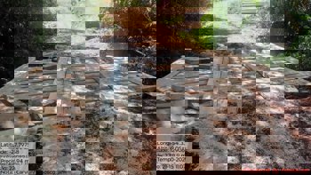 <p>PONTE PR&Oacute;XIMA AO CARVOEIRO &Eacute; LIBERADA PARA TR&Aacute;FEGO</p>