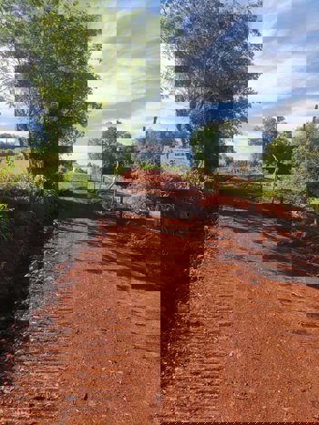 <p>SECRETARIA DE AGRICULTURA REALIZA MELHORIAS EM ESTRADAS E PONTES DO INTERIOR DE TR&Ecirc;S DE MAIO</p>