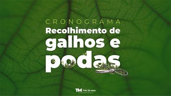 Recolhimento de galhos e podas tem cronograma definido para 2026