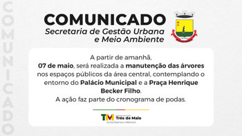 Manuten&ccedil;&atilde;o de &aacute;rvores integra a&ccedil;&otilde;es de cuidado e preserva&ccedil;&atilde;o urbana