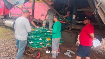 Produtores j&aacute; podem retirar sementes de milho do Programa Estadual de Incentivo &agrave; Agricultura