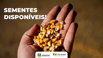 Sementes do Programa Estadual est&atilde;o dispon&iacute;veis para retirada