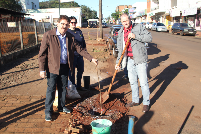 Prefeitura planta árvores em ruas da cidade