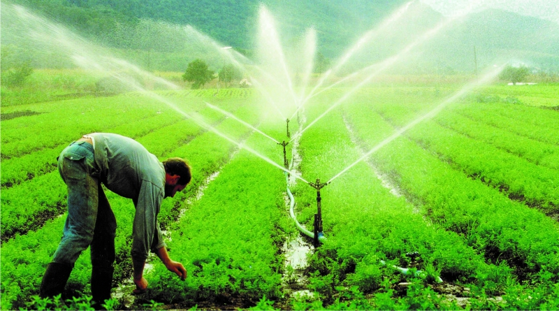 Emater recebe inscrições de interessados em açudes para irrigação