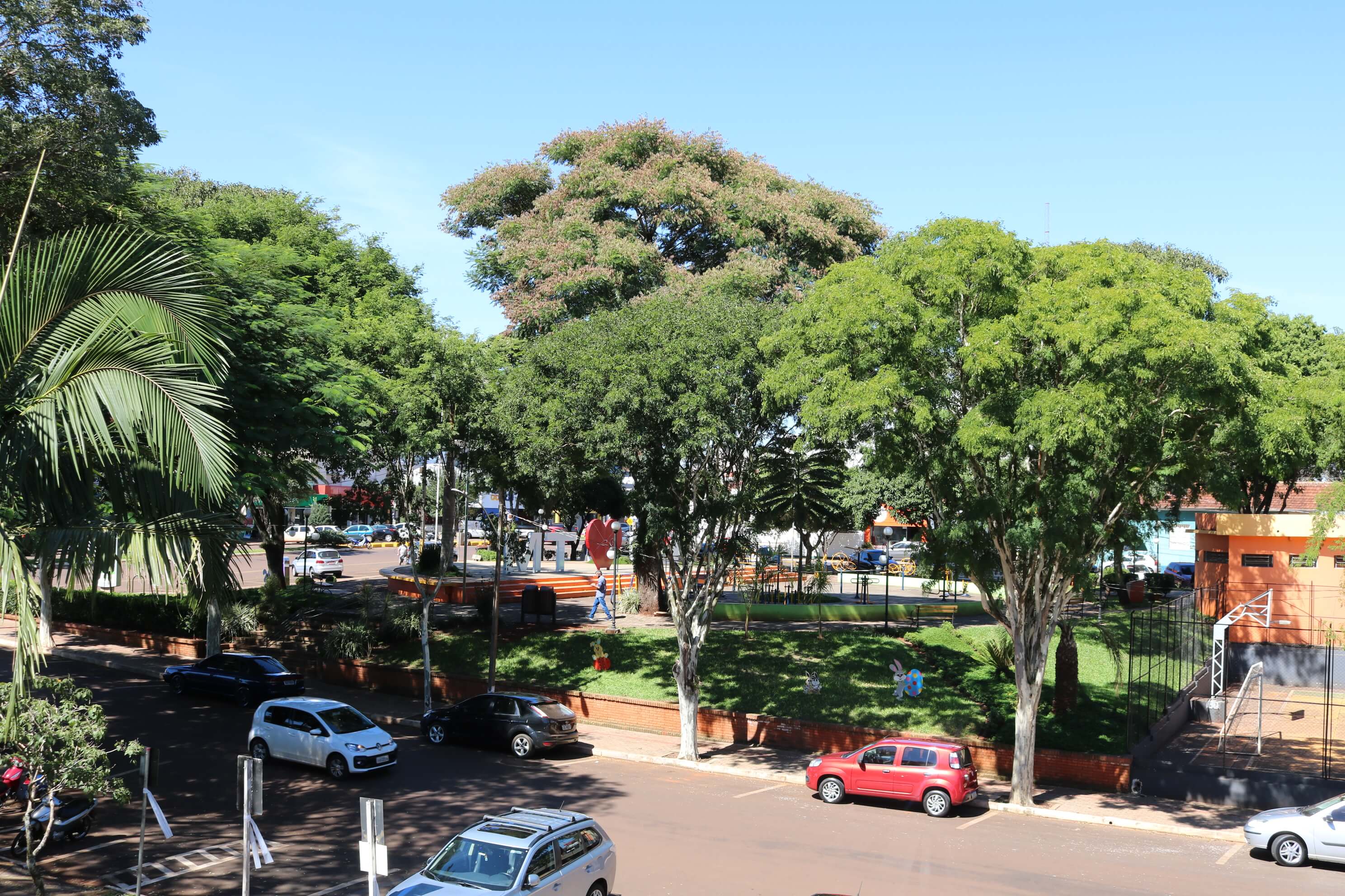 POMBOS ESTÃO CAUSANDO TRANSTORNOS NA ÁREA CENTRAL DO MUNICÍPIO