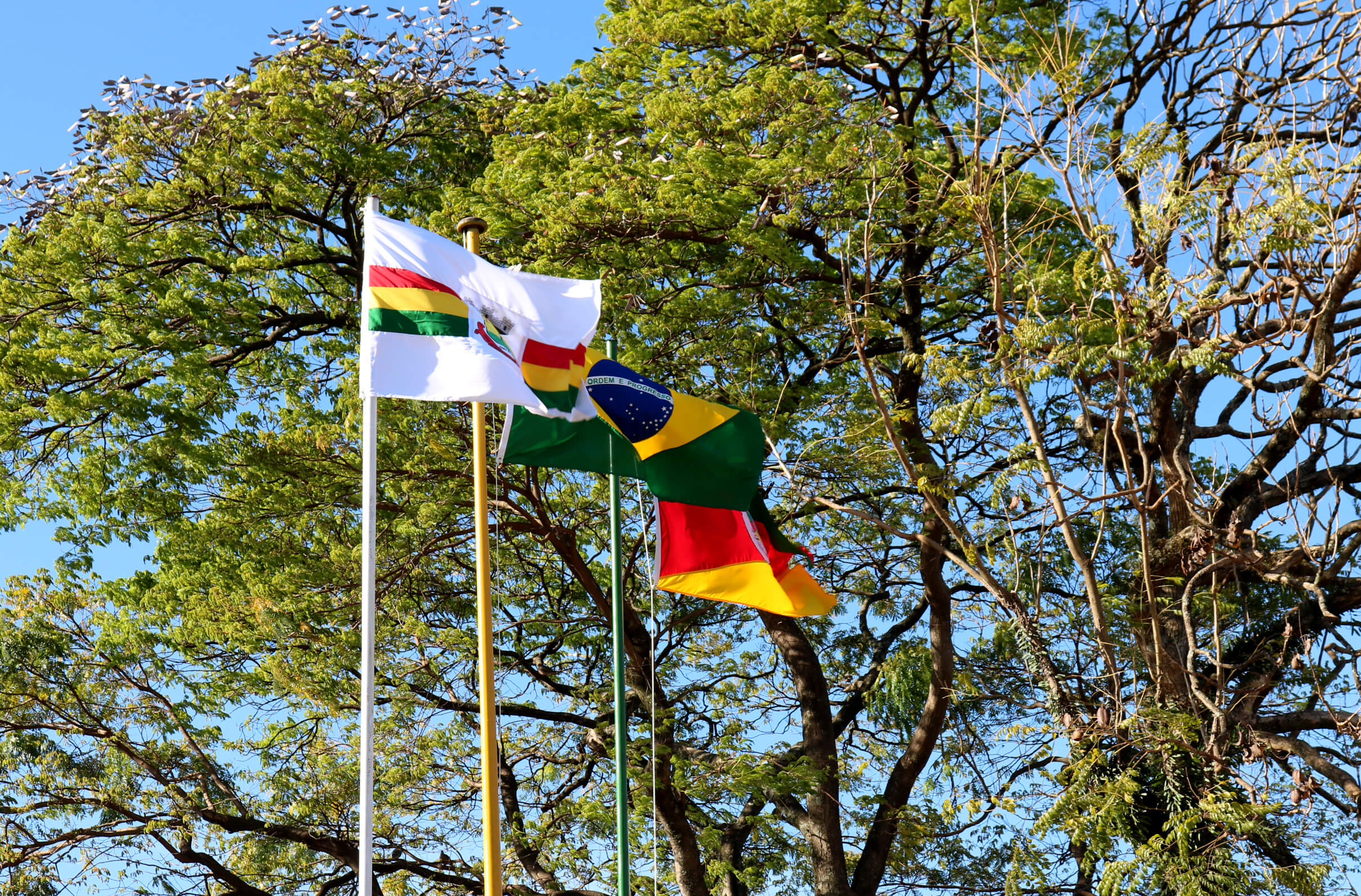 SEMANA DA PÁTRIA INICIOU HOJE