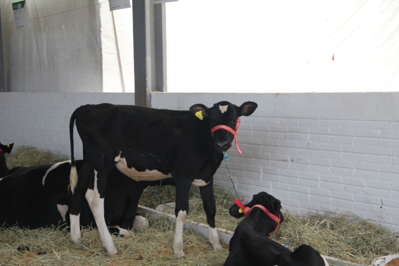 Secretaria convida produtores para reunião do APL Leite