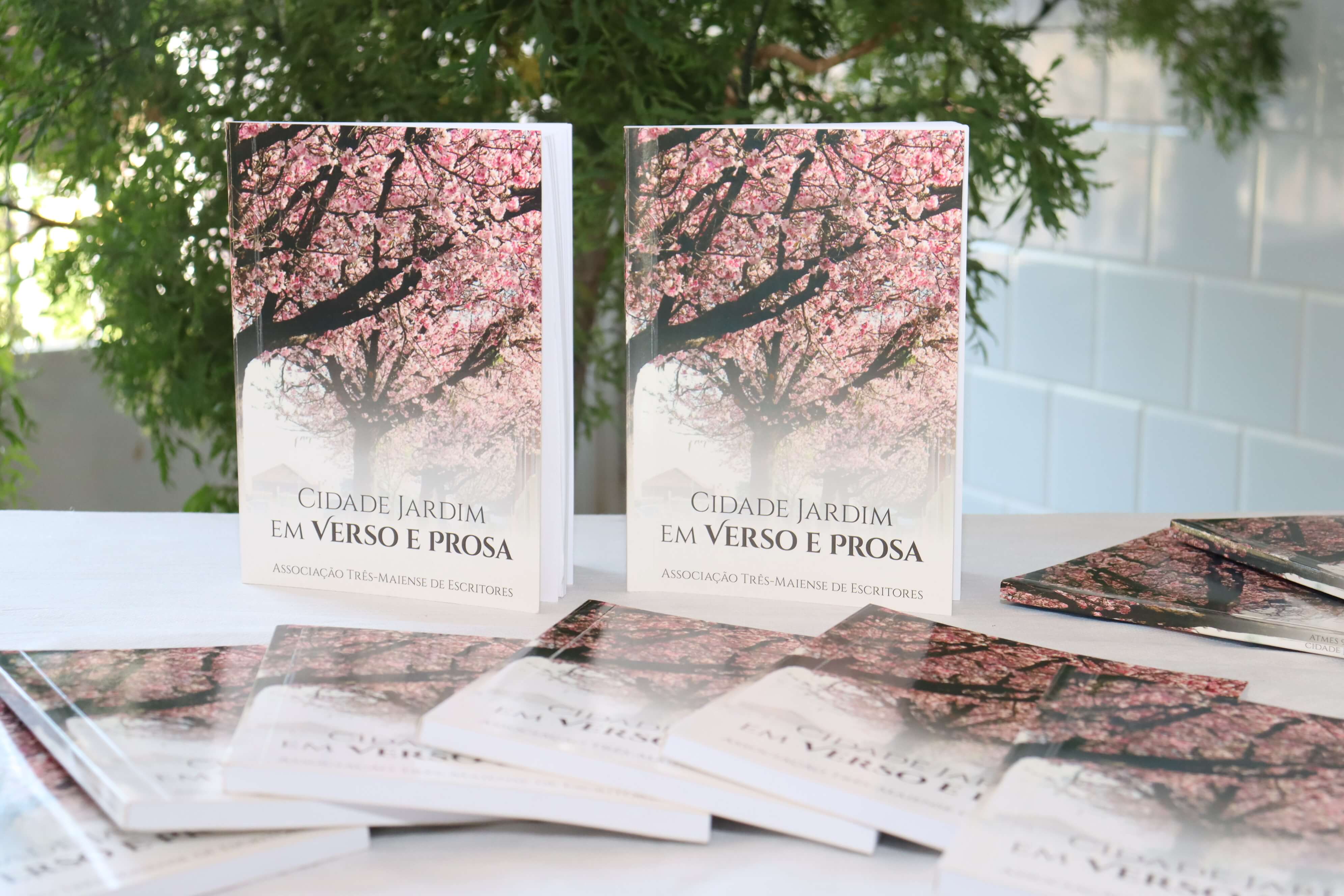 OBRA LITERÁRIA DA ASSOCIAÇÃO TRÊS-MAIENSE DE ESCRITORES ESTÁ EXPOSTA NO PALÁCIO MUNICIPAL