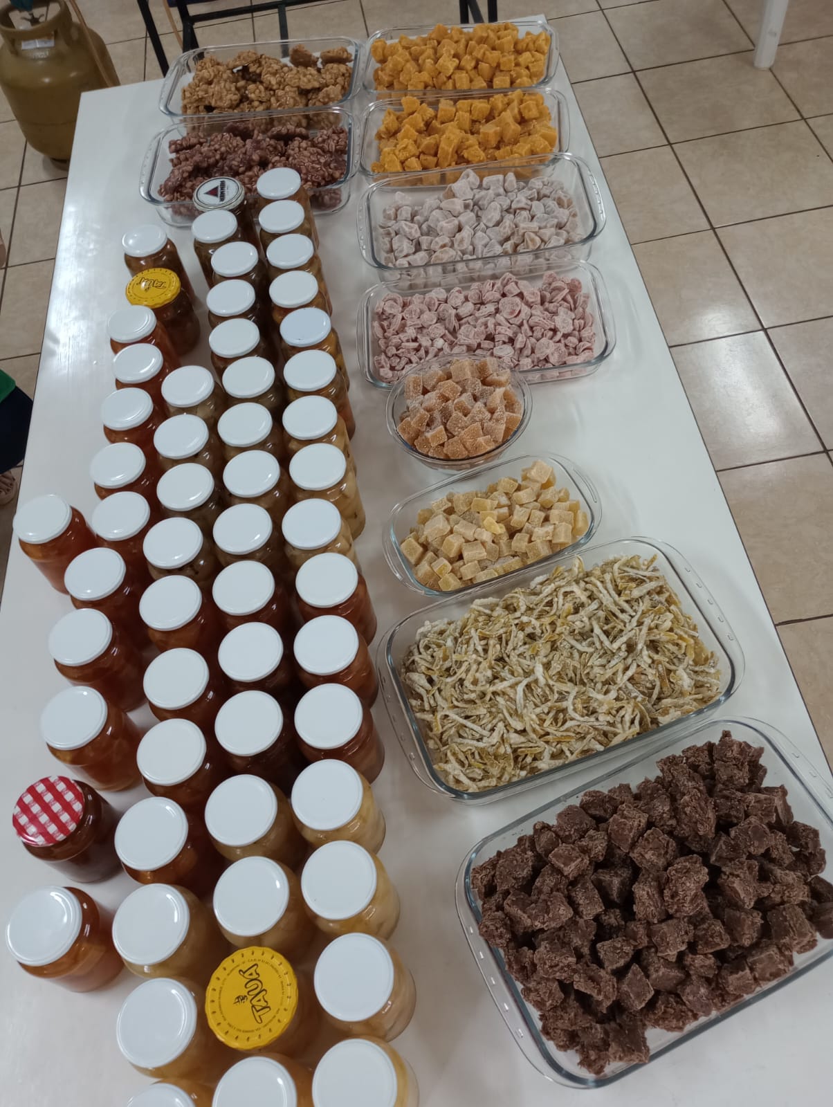 CURSO DE PROCESSAMENTOS DE FRUTAS ENCERROU ONTEM 