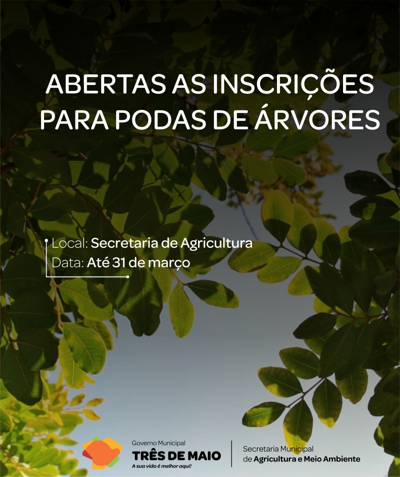 Aberto período de inscrições para podas de árvores 