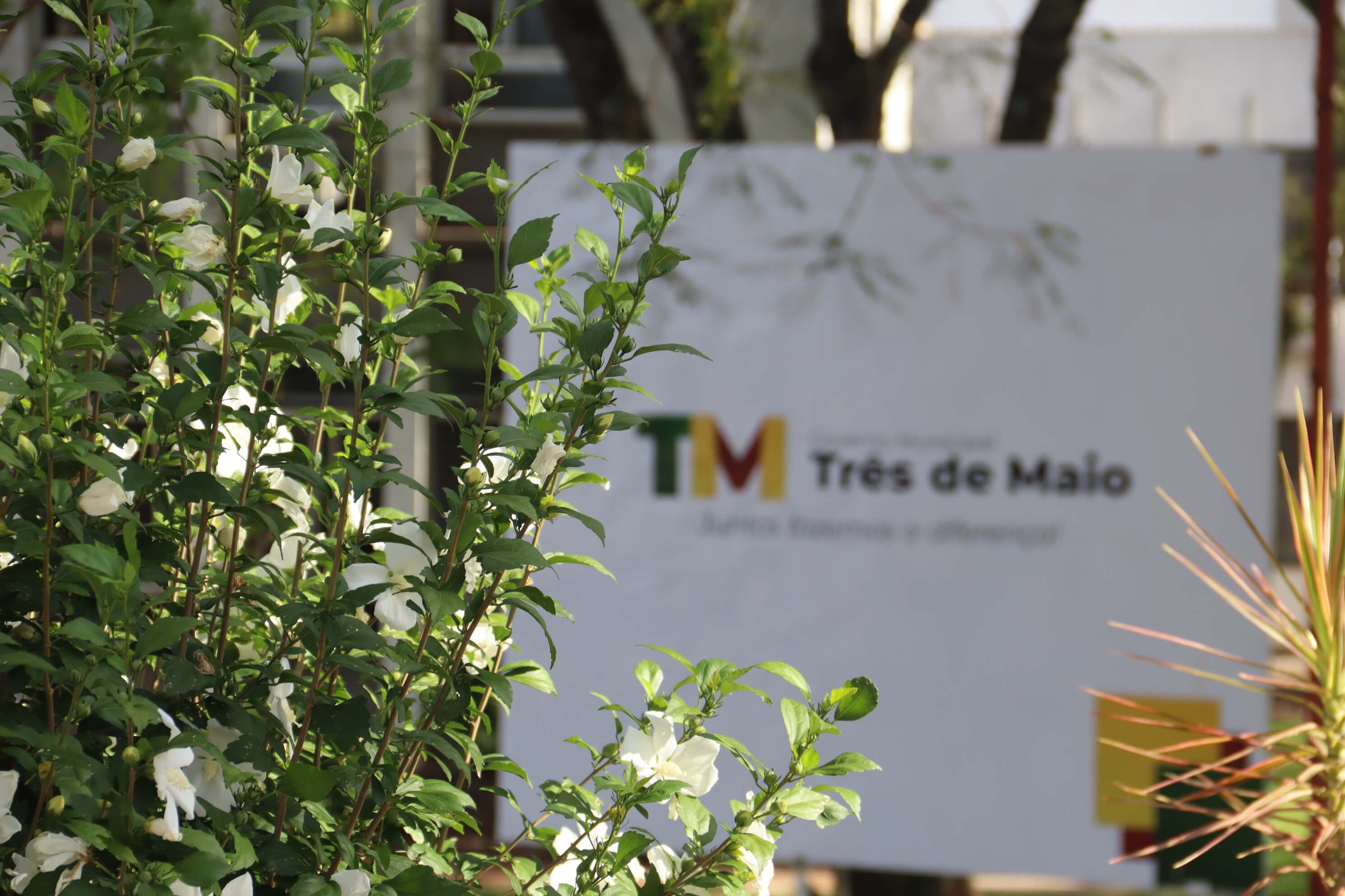 GOVERNO MUNICIPAL ADIANTA A PRIMEIRA PARCELA DO DÉCIMO TERCEIRO