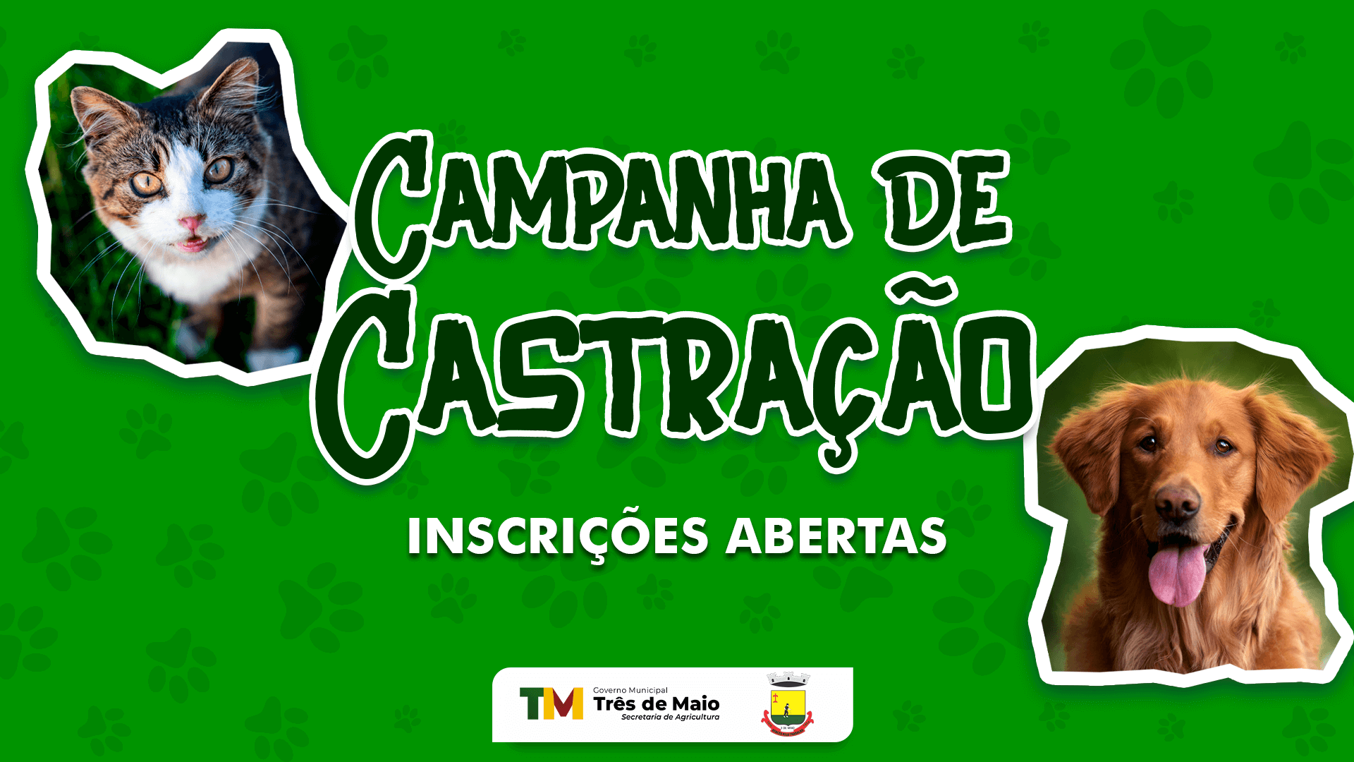 INSCRIÇÕES PARA CASTRAÇÕES DE CACHORRAS E GATAS ENCERRAM HOJE