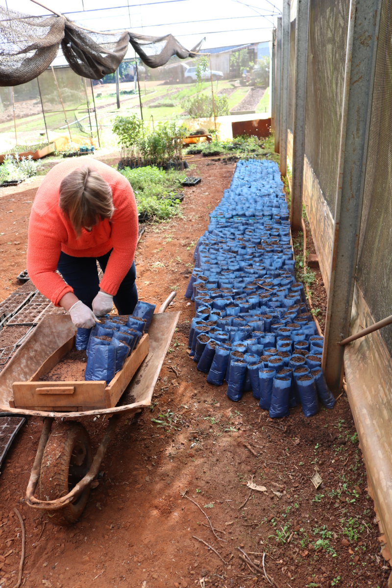 Inicia atividades de embelezamento e ajardinamento do acesso aos pontos turísticos