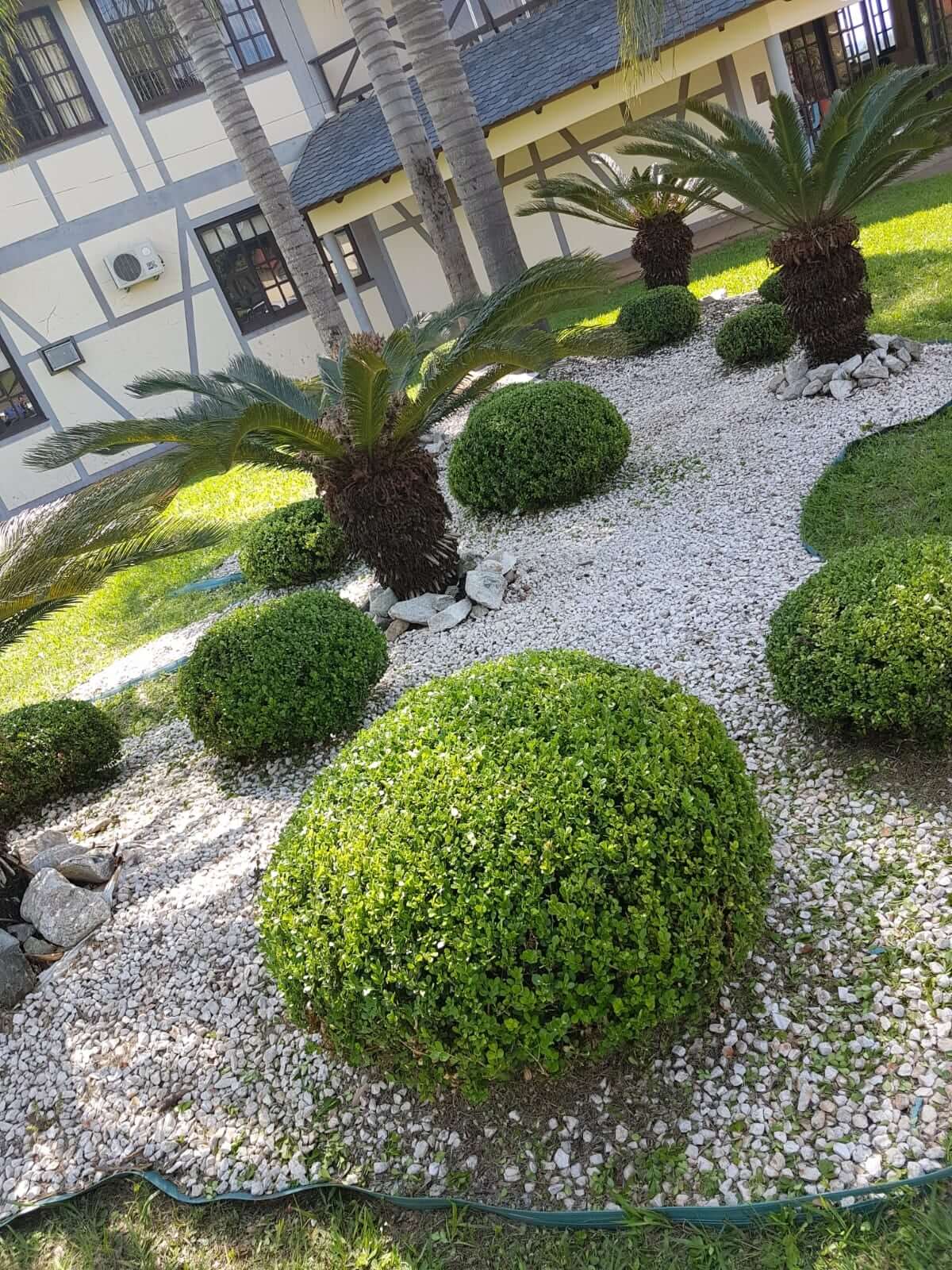 REVITALIZAÇÃO DE CANTEIROS