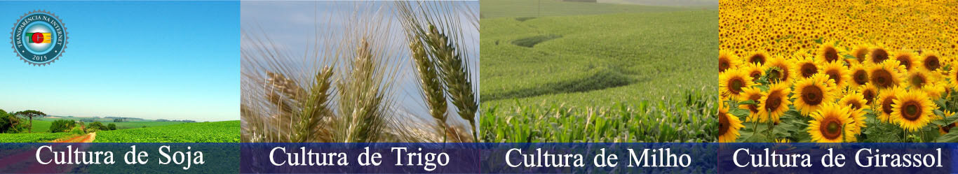 Prefeitura de Doutor Maurício Cardoso - RS 