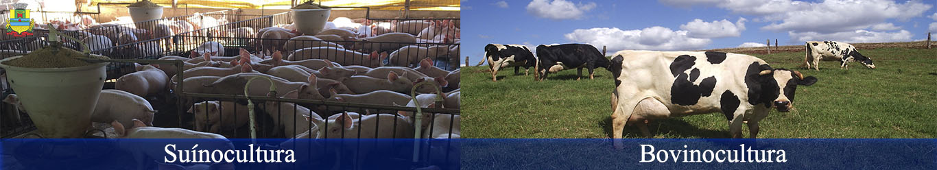 Prefeitura de Doutor Maurício Cardoso - RS 