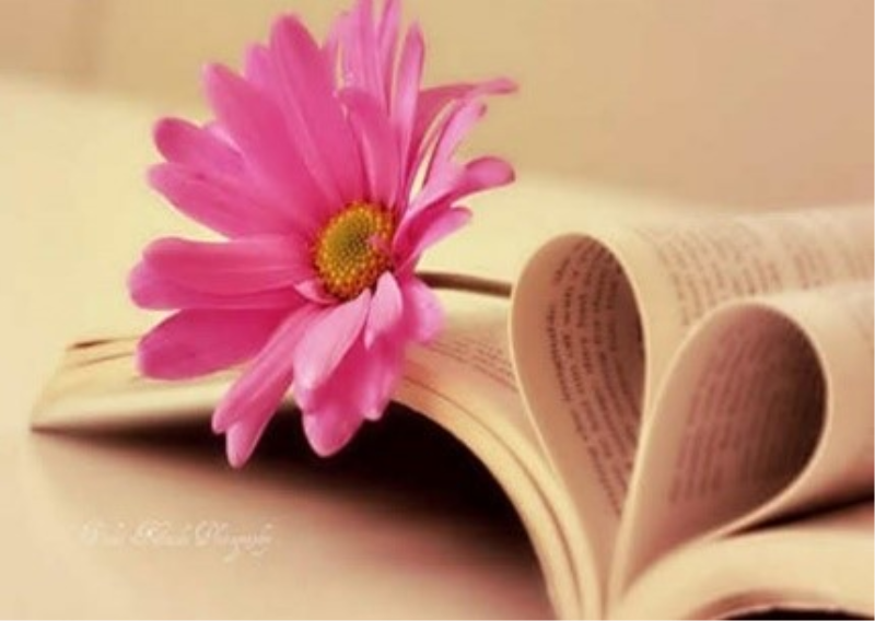 15 DE OUTUBRO - DIA DO PROFESSOR