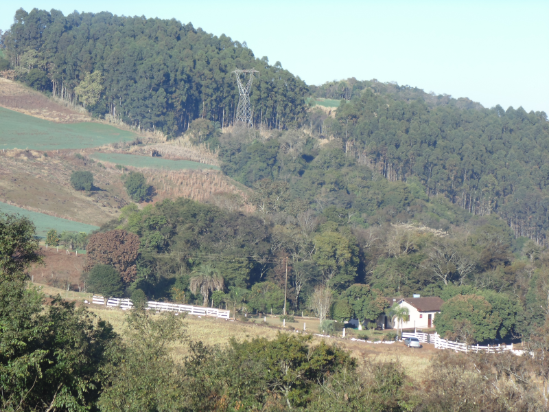HOMENAGEM AO COLONO E AO MOTORISTA