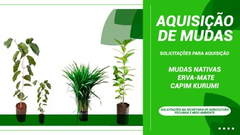 <p>Aberto pedidos de Mudas Nativas, Erva-mate e Capim Kurumi</p>