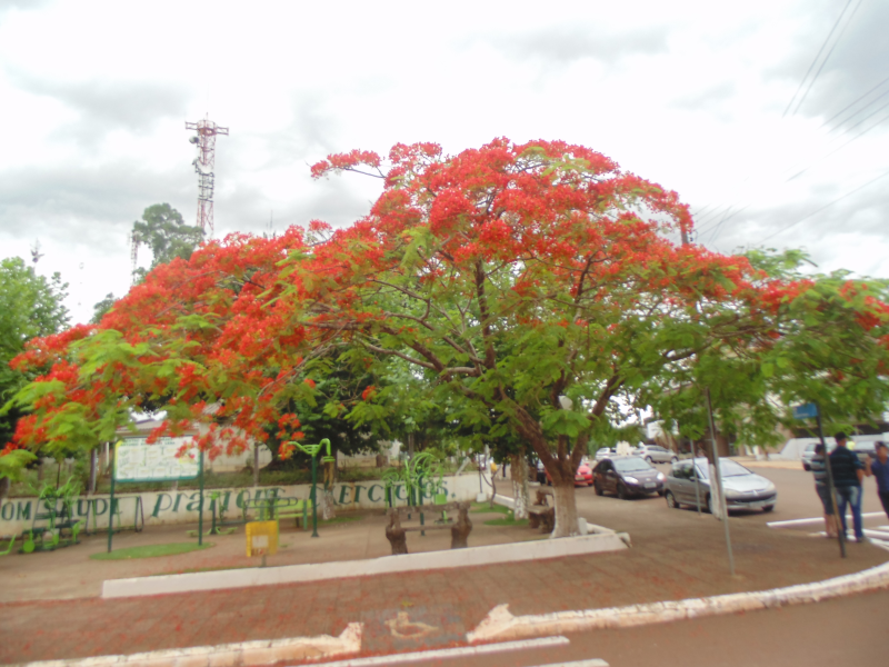 UM POUCO DA HISTÓRIA  DO MUNICÍPIO DE SÃO MARTINHO