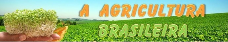 Informativo da Secretaria Municipal da Agricultura