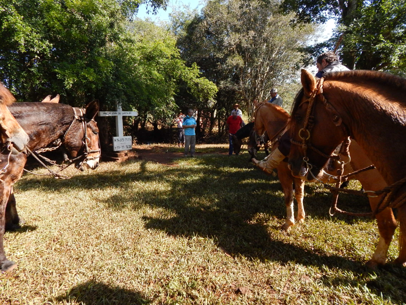 CAVALGADA DA TRILHA DOS SANTOS MÁRTIRES (Em construção...)