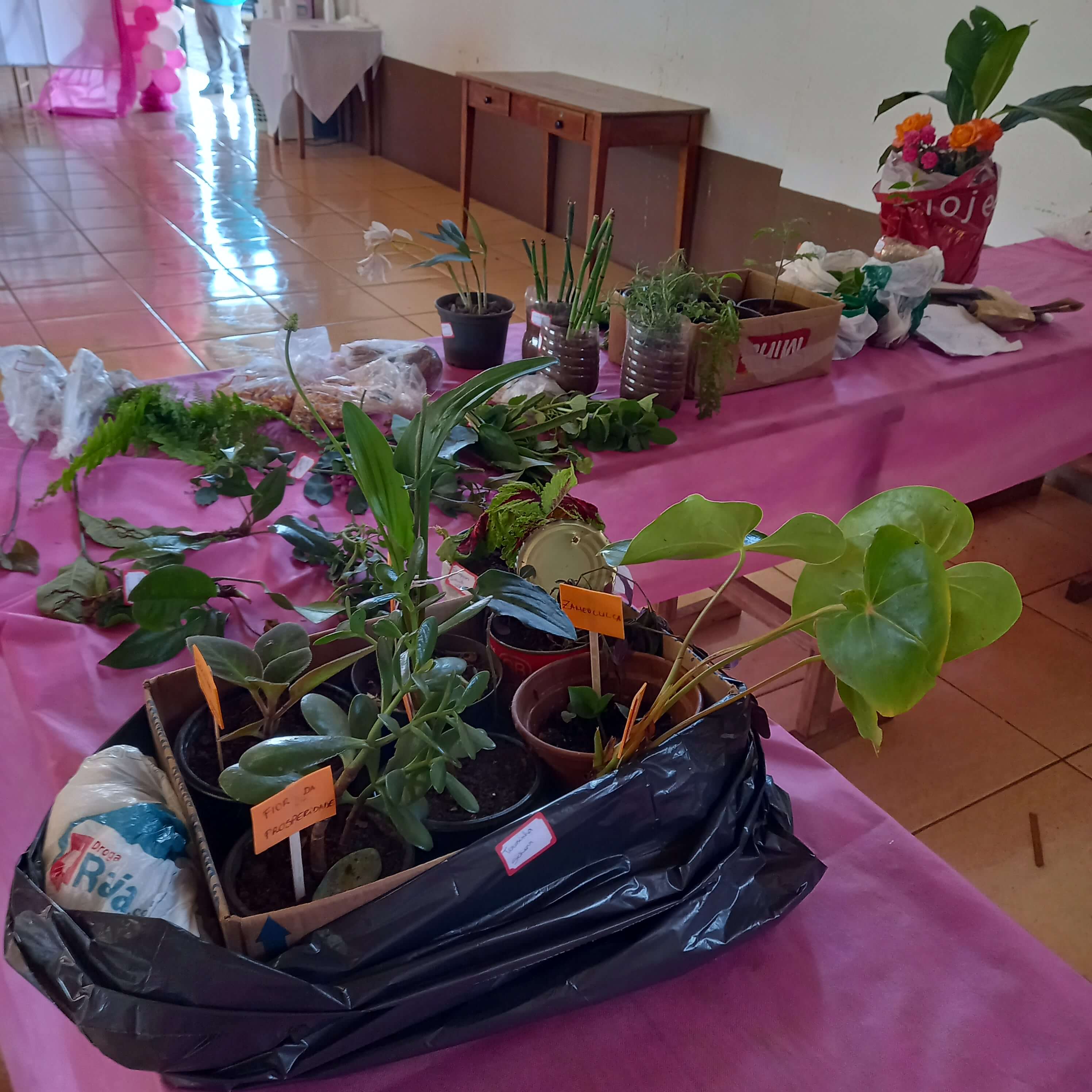 "ENCONTRO DE MULHERES" ALUSIVO AO OUTUBRO ROSA