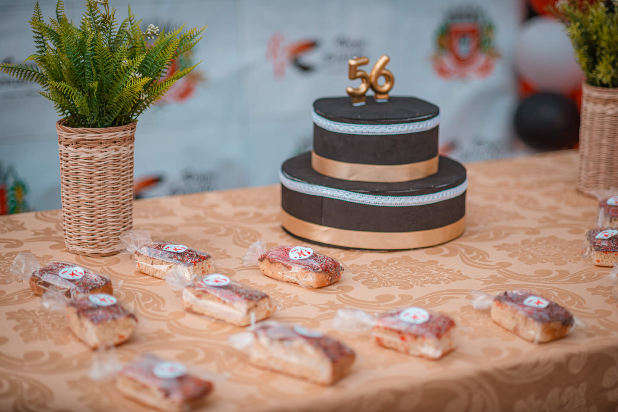 ANIVERSÁRIO DE MUNICÍPIO