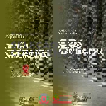 <p>SELE&Ccedil;&Atilde;O COMPLEMENTAR</p>