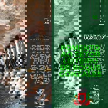 <p>FOMENTO AO SETOR LEITEIRO DE ROQUE GONZALES</p>