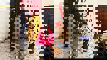 <p>REDE MUNICIPAL DE ENSINO INVESTE EM FORMA&Ccedil;&Atilde;O DE PROFISSIONAIS COM CURSO DE PRIMEIROS SOCORROS</p>