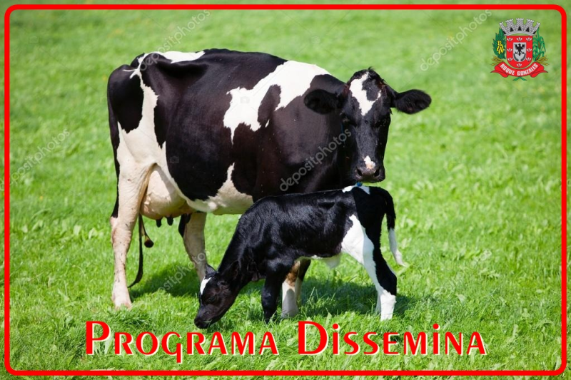 PROGRAMA BENEFICIARÁ PRODUTORES DE LEITE