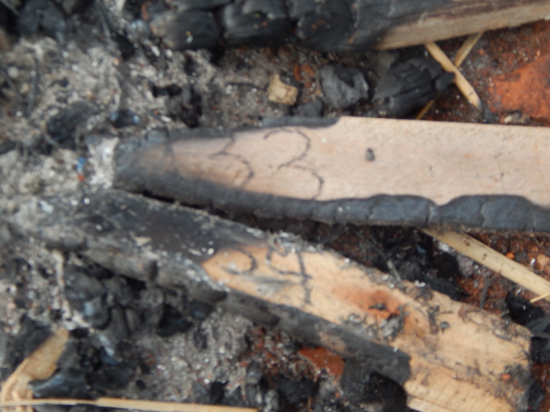 VANDALISMO CONTRA OBRA PÚBLICA