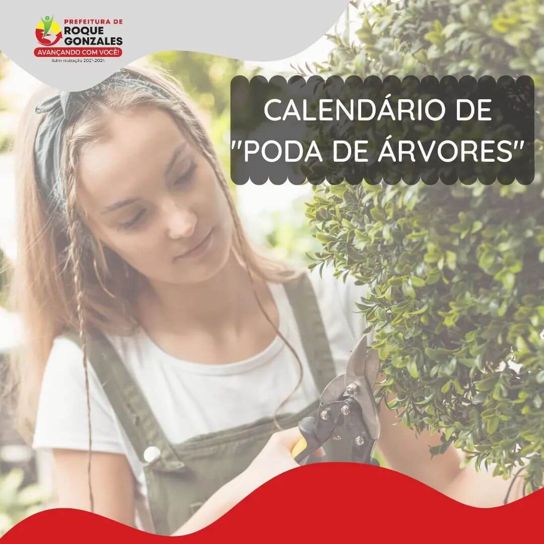 CALENDÁRIO PARA A "PODA DE ÁRVORES" ESTÁ ABERTO