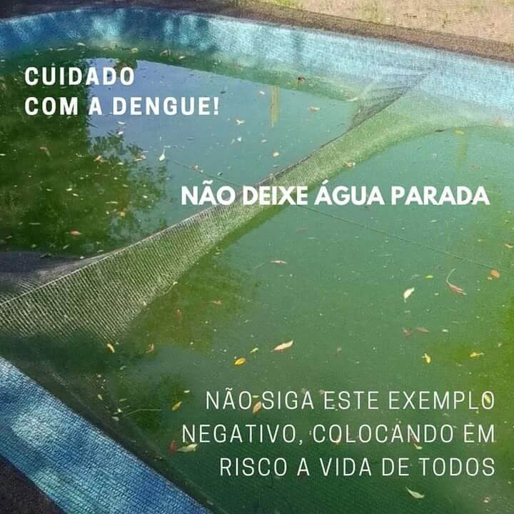 CRIAÇÃO DO MOSQUITO DA DENGUE