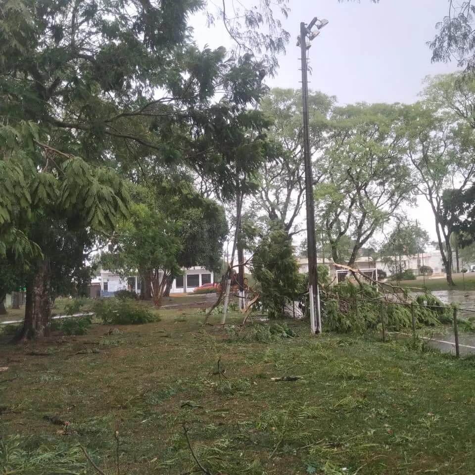 ALERTA À COMUNIDADE