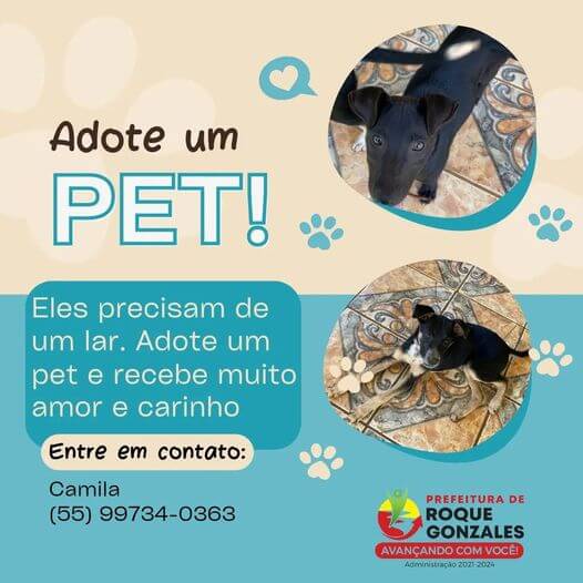  EI HUMANO, ME ADOTA!