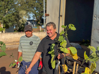 <p>M&Ecirc;S DO MEIO AMBIENTE &Eacute; MARCADO POR ARBORIZA&Ccedil;&Atilde;O NA RUA SANTO ANT&Ocirc;NIO&nbsp;</p>