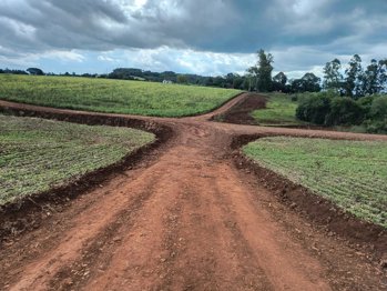 <p><strong>PREFEITURA EXECUTA MELHORIAS EM ESTRADA NA COMUNIDADE DA IGREJINHA</strong></p>